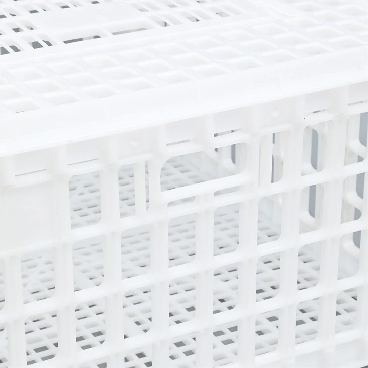 Plastic Transport Crate Cage For Poultry